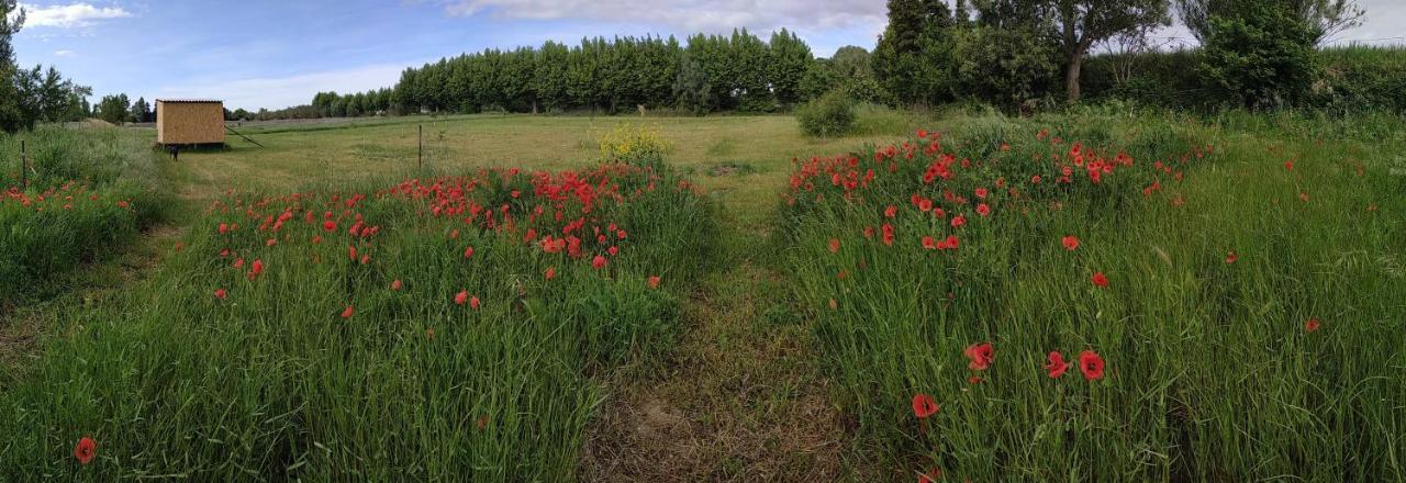 La Ferme Des Escampades Bed & Breakfast Monteux Luaran gambar