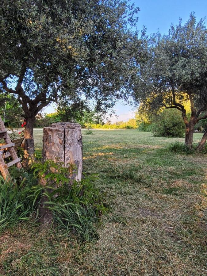 La Ferme Des Escampades Bed & Breakfast Monteux Luaran gambar